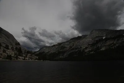 DSC_4418 (Large).JPG